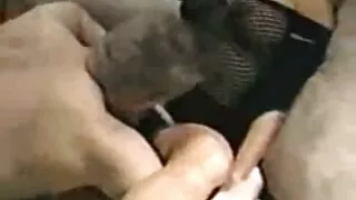 Fără teama de căpușe, un cuplu dulce se femei cu floci mari fute pe o așternut de conifere.