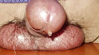 Lesbiene futute de video. filme porno intre femei