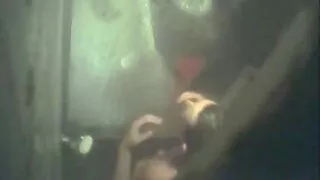 Sean filme porno cu femei urate laless